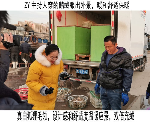 芬兰进口真貉子毛领领子帽领帽条