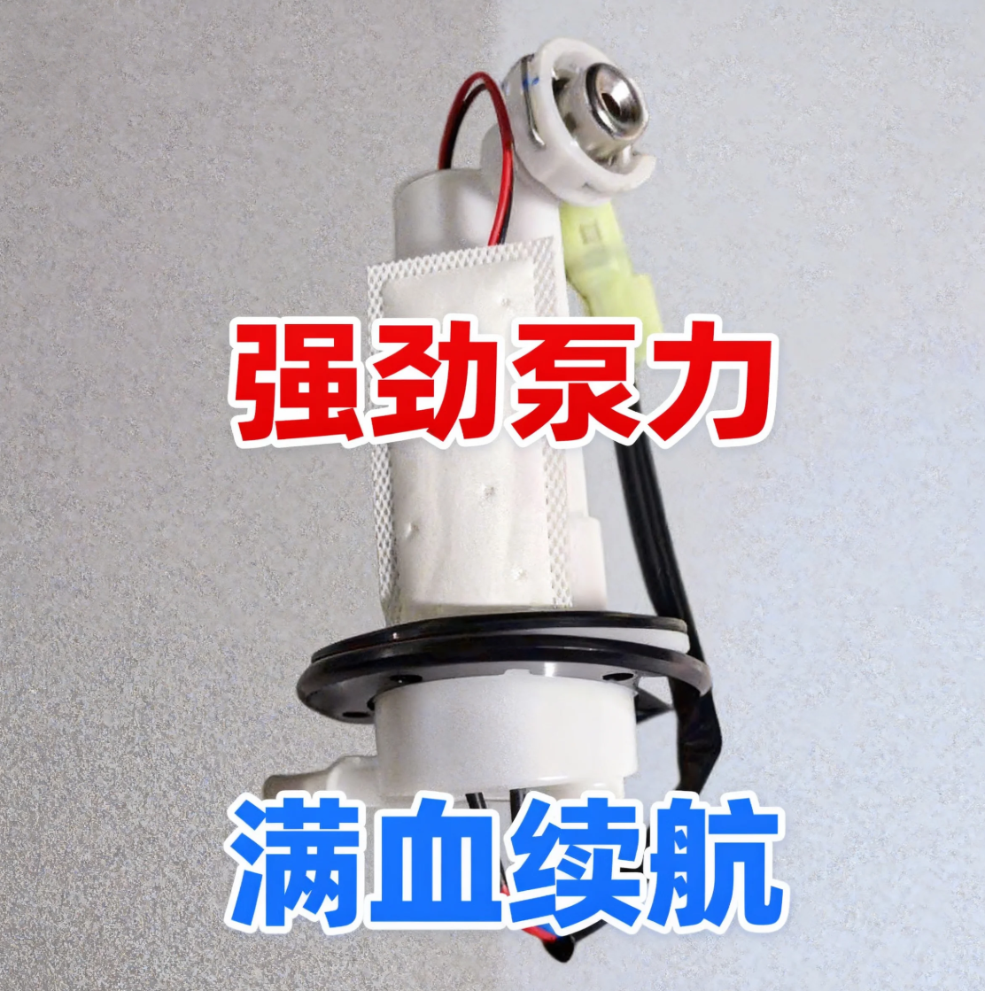 刀锋400电喷汽油泵总成跑车趴赛魅影255S摩托车诺马GW250-C燃油泵