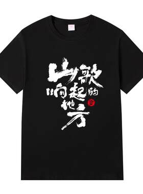 刀郎演唱会山歌纸上款T恤