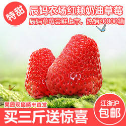 皇冠现摘新鲜奶油草莓牛奶草莓日本草莓建德草莓红颜草莓顺丰同城