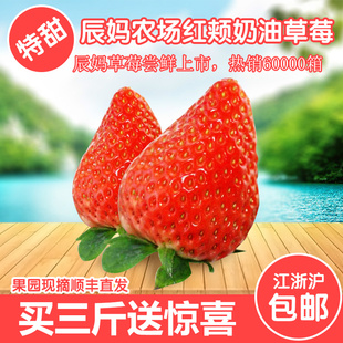 牛奶草莓现摘红颜草莓新鲜草莓日本红颊草莓建德草莓奶油草莓3斤