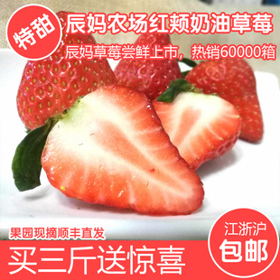 草莓新鲜奶油草莓现摘草莓日本红颊草莓牛奶草莓建德草莓3斤顺丰