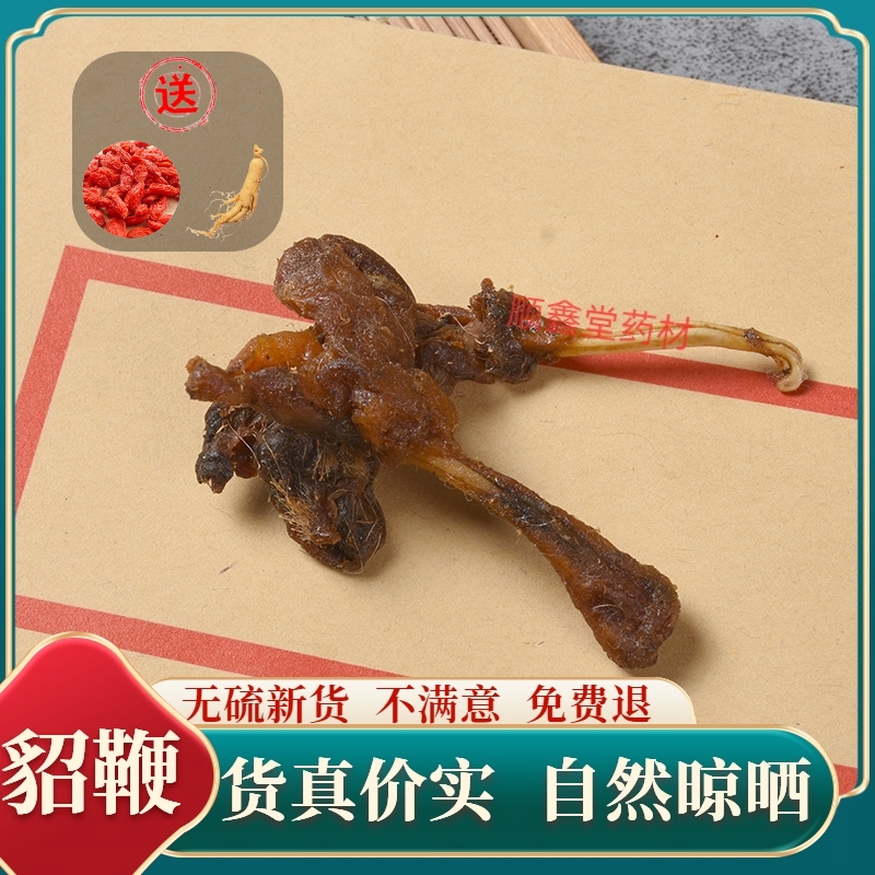 貂鞭新货散装泡酒原料专用男性正宗品貂鞭干货整根另售蛇鞭狐狸鞭