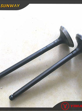 沙滩车摩托车信阳XY500 500CC发动机气门配件