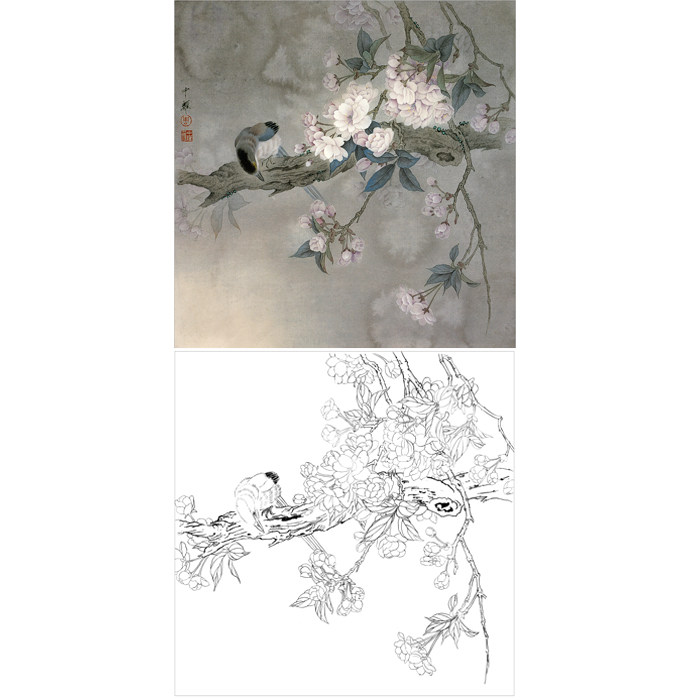 工笔画樱花花鸟小品斗方团扇白描底稿国画临摹勾线练习打印稿线描