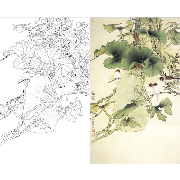 工笔画瓜果画白描底稿国画花鸟南瓜蔬菜线描临摹勾线练习打印画稿