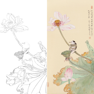 工笔画荷花花鸟画白描底稿国画临摹勾线练习四尺六尺线描打印稿子