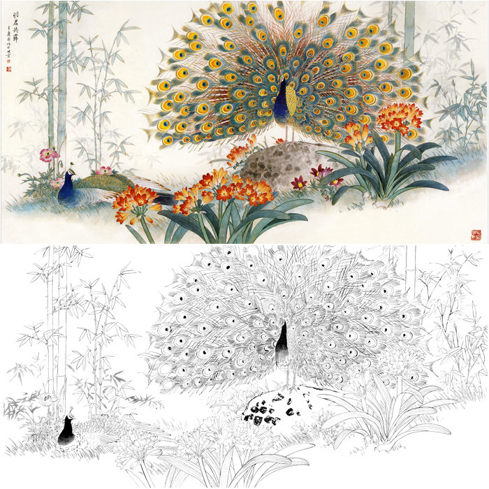 孔雀开屏工笔画白描底稿孔雀花鸟画国画临摹线描稿勾线练习打印稿