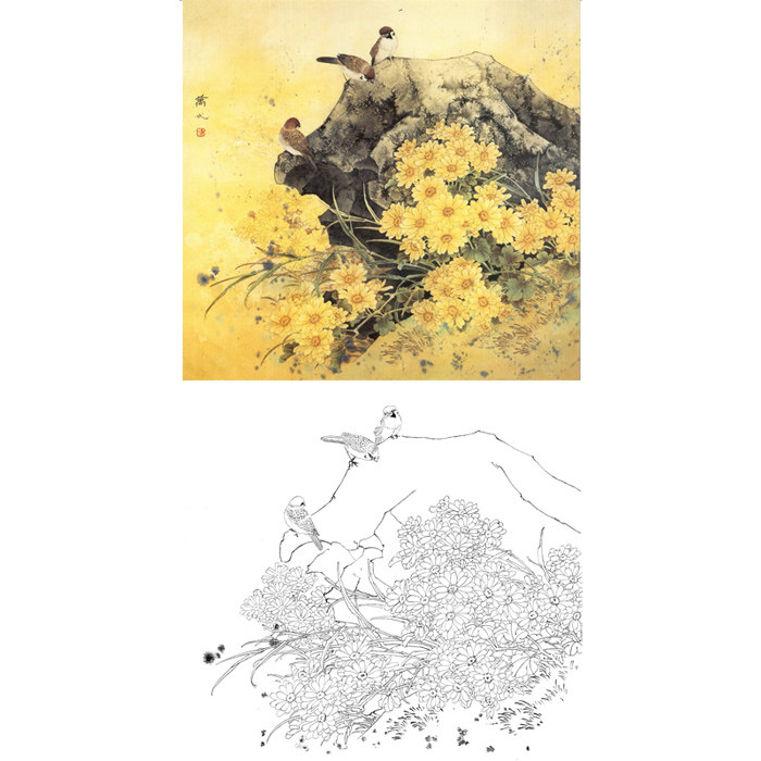 工笔画菊花小品斗方白描底稿国画花鸟麻雀雏菊临摹勾线练习打印稿