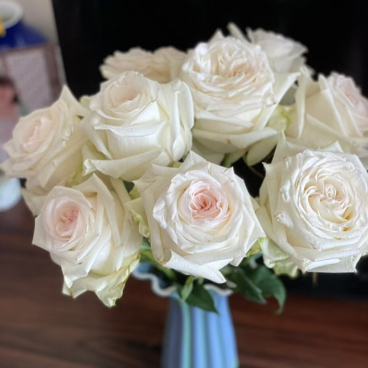 花知述园艺白烛光玫瑰月季花树苗