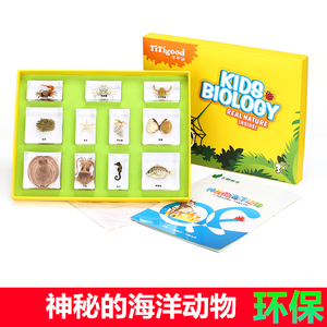 千帆幼儿园教学神秘的海洋动物海星贝壳螃蟹乌贼章鱼真实标本套装
