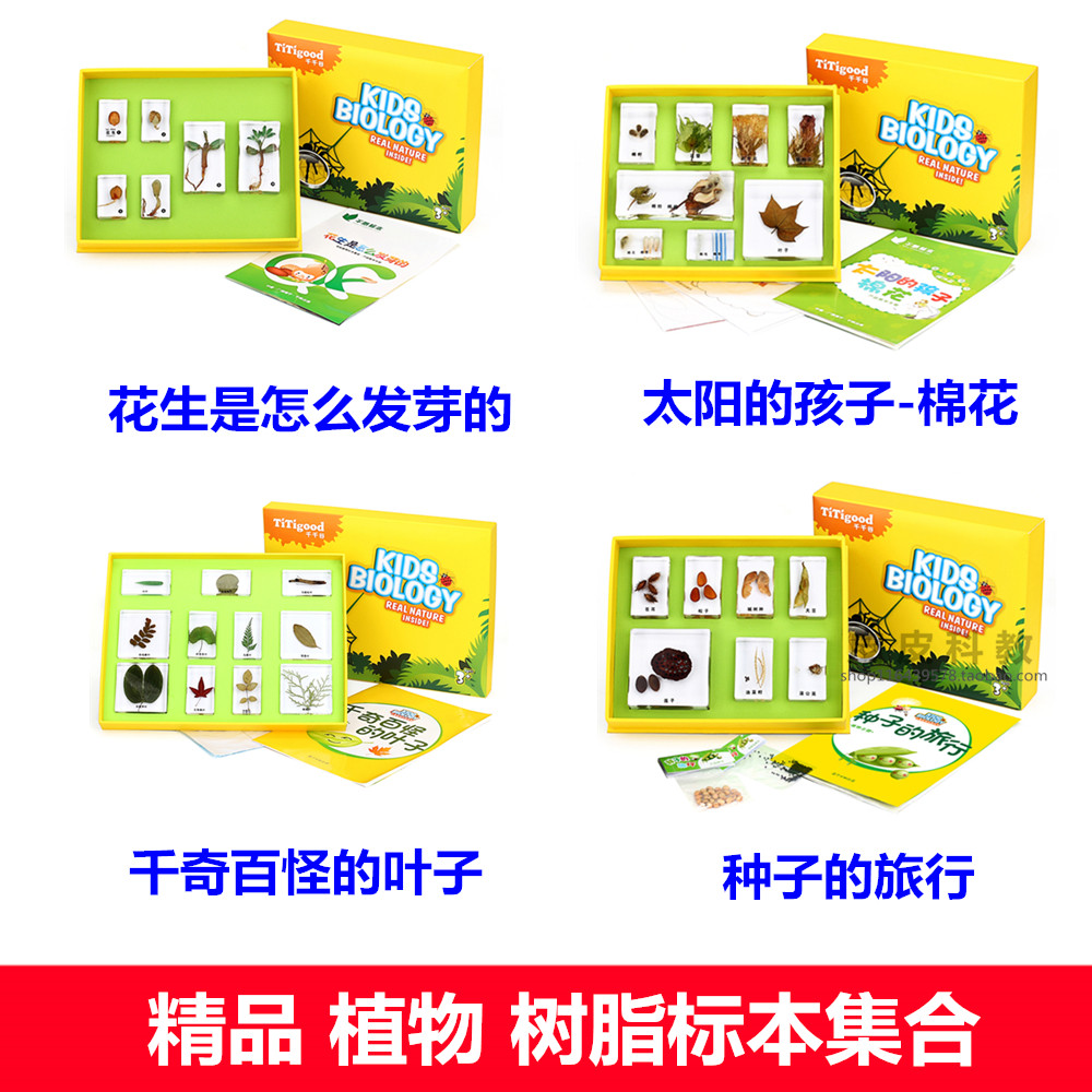 幼儿园教学标本儿童科普千帆
