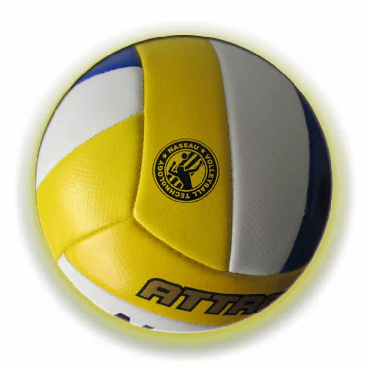 Ballon de volley-ball - Ref 2010855 Image 4