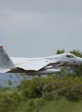 Freewing 飞翼模型 F-15 90mm涵道仿真模型飞机