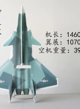 风范航模大号 苏27/歼20腰推固定翼 SU27/J20魔术板学校表演耐摔
