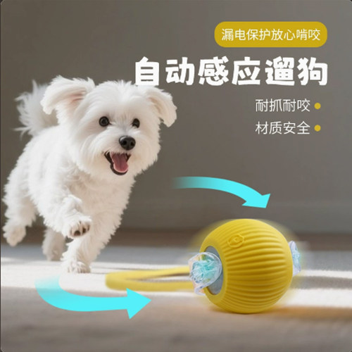 自动遛狗球宠物狗狗玩具自嗨解闷神器耐咬比熊小型犬小狗突突球