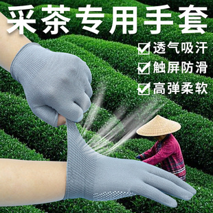采茶专用手套防滑耐磨点胶防晒透气舒适钓鱼露两指男女通用手套