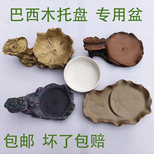 高端树脂巴西木专用托盘花盆底座