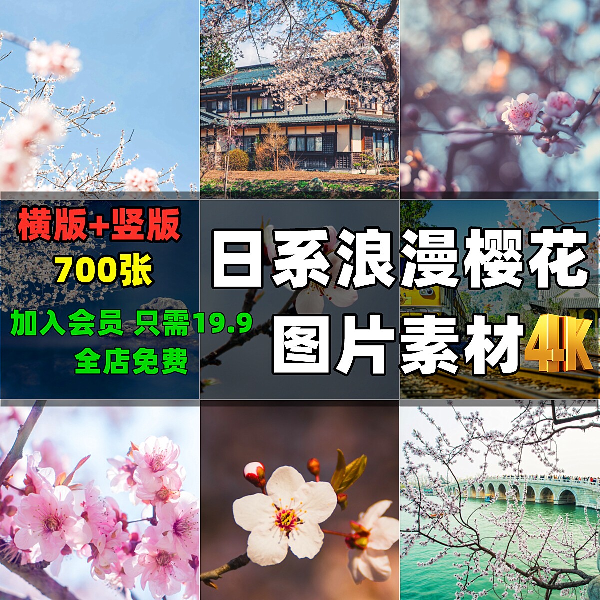 日系浪漫樱花高清图片素材竖版横版树桃花朵春暖花开春天自媒体