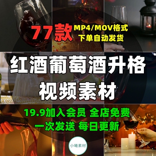 红酒葡萄酒升格短视频素材干杯举杯特写倒酒碰杯喝酒抖音剪辑高清