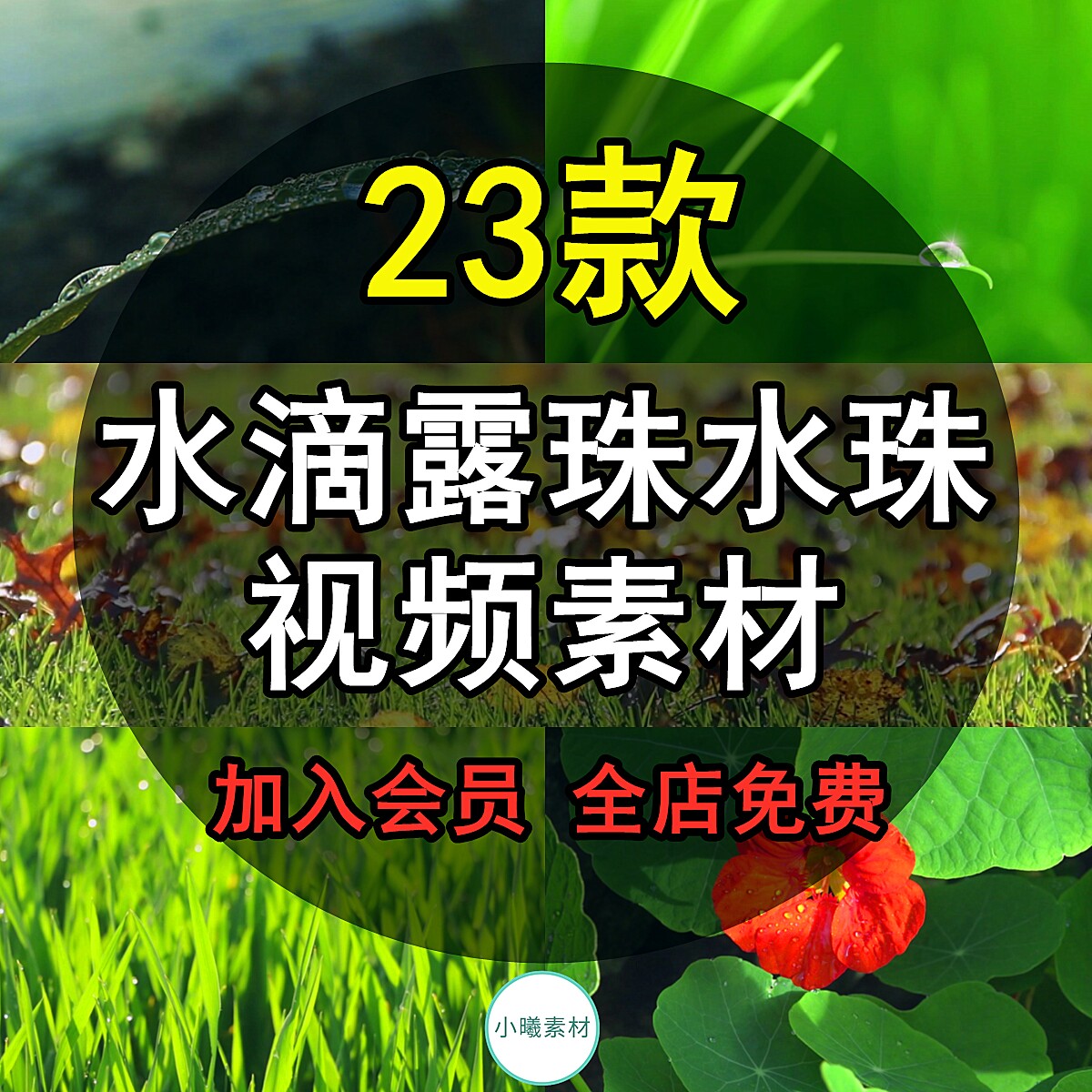 露水露珠视频素材水珠青草大自然清新清晨透射野草叶草地晶莹剔透