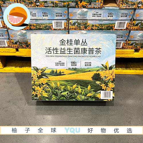 山姆零食代购Drinksba金桂单丛活性益生菌康普茶低卡0脂发酵饮料