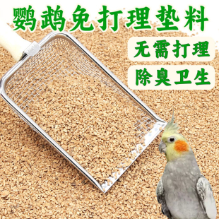 天然核桃砂垫料可水洗无尘除臭发酵床芦丁鸡鹦鹉仓鼠金丝熊兔子用