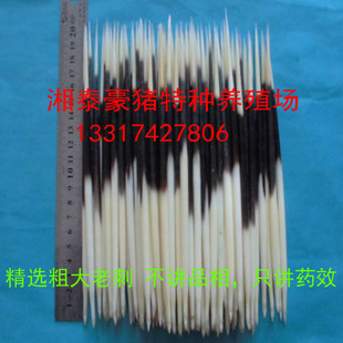 养殖药用豪猪刺豪猪毛刺猪刺箭猪刺药用整支刺完整清洗干净款