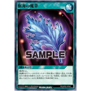 游戏王RD 树海的魔草 N ap02-jp042【布鲁斯卡牌】
