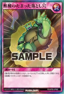 【布鲁斯卡牌】游戏王RD 蓄积醋酸的落穴SR kp05-jp065