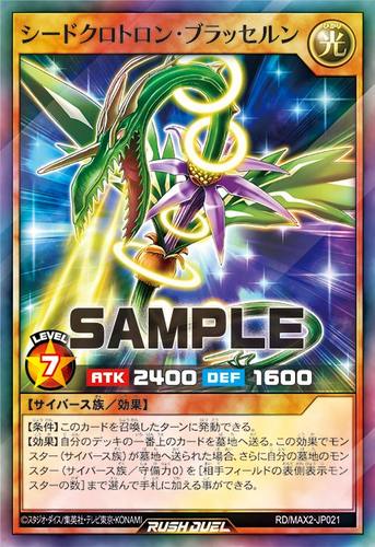 【布鲁斯卡牌】游戏王RD 种子同步粒子机·布鲁塞尔机SR max2-jp0