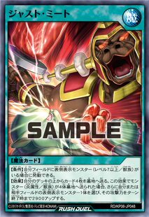 【布鲁斯卡牌】游戏王RD 适时击肉N kp06-jp048