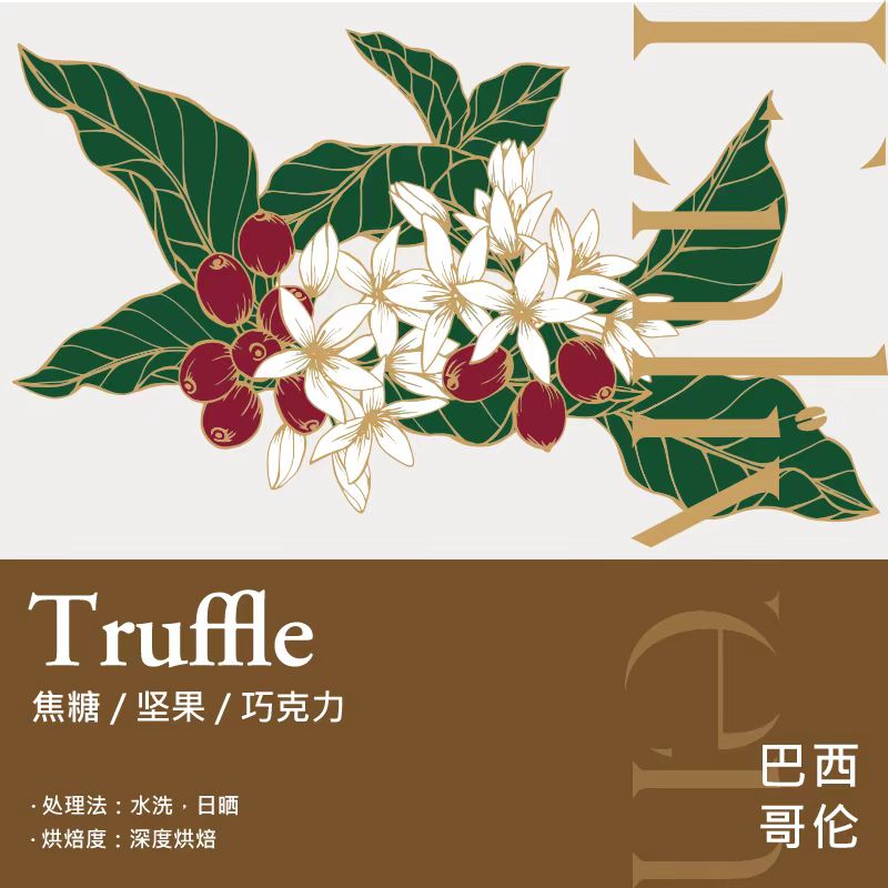 咖啡豆IGCA金奖埃塞俄比亚手冲精品高端咖啡豆中浅烘焙顺丰包邮