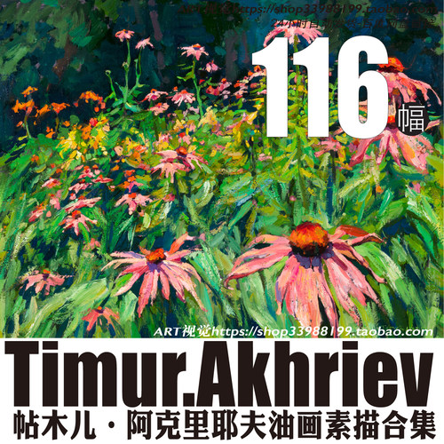 铁木儿阿赫列耶夫Timur Akhriev蒂姆佐夫油画素描人物风景素材