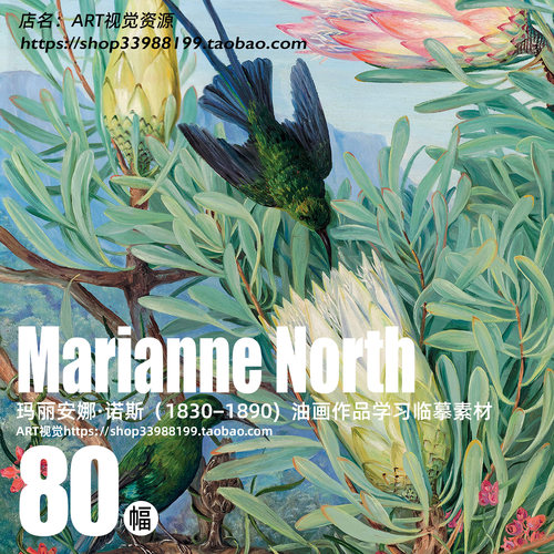 玛丽安娜·诺斯 Marianne North各大洲植物花卉绘画学画临摹素材