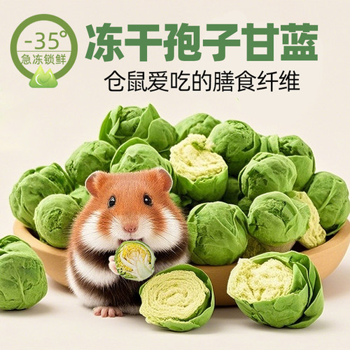 仓鼠冻干孢子甘蓝粮食零食大礼包