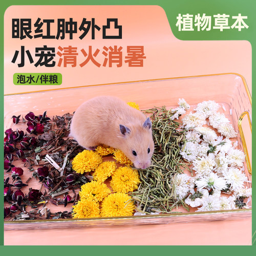 夏季仓鼠清火避暑花草零食
