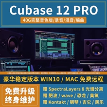 cubase12/8/9/10/中文版音乐软件录音编曲混修音远程安装win/mac