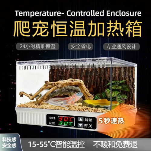 离谱爬创智能温控恒温箱豹纹守宫