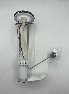 适用于金城摩托车意塔杰特Dragster200 燃油泵总成电喷电子汽油泵