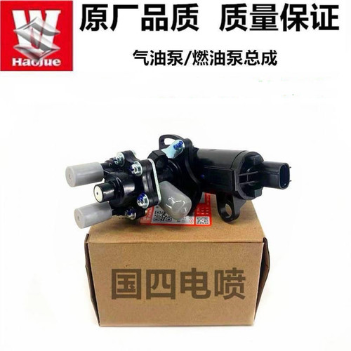 适用于太子国四电喷摩托车配件GN125-3/3F汽油泵燃油泵外置泵