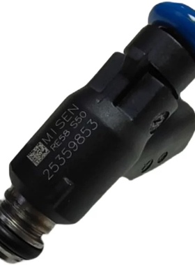 适用龙嘉V途V咖V霸250Vmax300维多利亚150 Sixties300i电喷喷油嘴