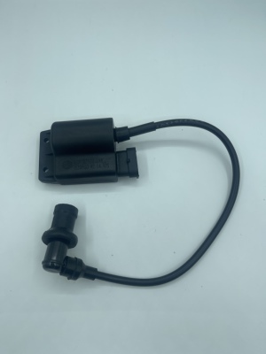 比亚乔(ZIP/BYQ100T-2FLY100 (AC7 DZ100 -LK6)高压包点火器