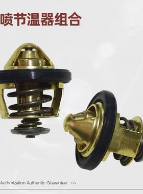 宗申赛科龙RT1 SR150T节温器85度