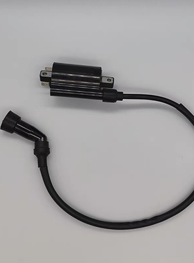 力帆LF150-10P/H/200-10L/10D/3B/250-3A/D/E/KPT/KPS/KPM高压包