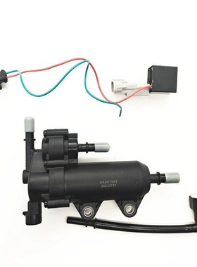 轻骑赛胜赛歌QS110-3-4电喷弯梁摩托车PDP外置泵ACHR改装汽油泵