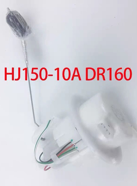 适用豪HJ150-10A DR160 DR160S燃油泵 摩托车汽油泵PDP泵配件