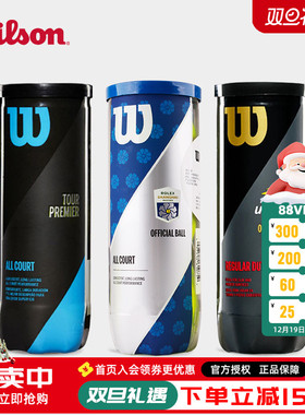 Wilson威尔胜网球上海大师赛美法网专业比赛球威尔逊粉色训练用球