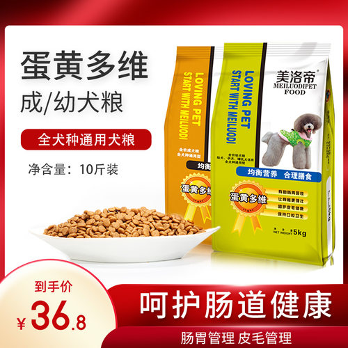 成犬金毛萨摩耶比熊通用型幼犬