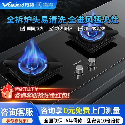万和C5L90S天然气燃气灶具